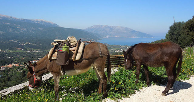 kefalonia villas skala